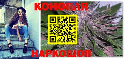 apvp Моздок