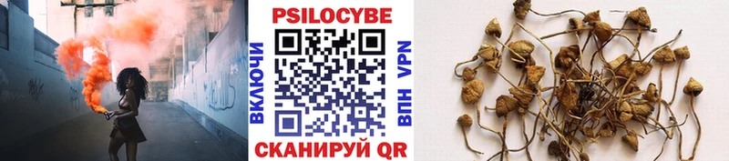 shop какой сайт  hydra вход  Советск  Псилоцибиновые грибы Magic Shrooms 