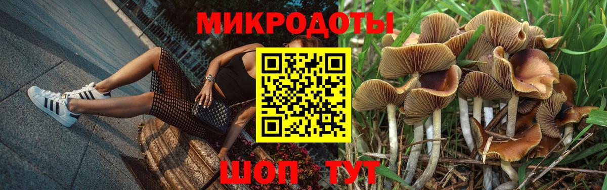 Галлюциногенные грибы Psilocybine cubensis  закладка  Советск  Вход с VPN 